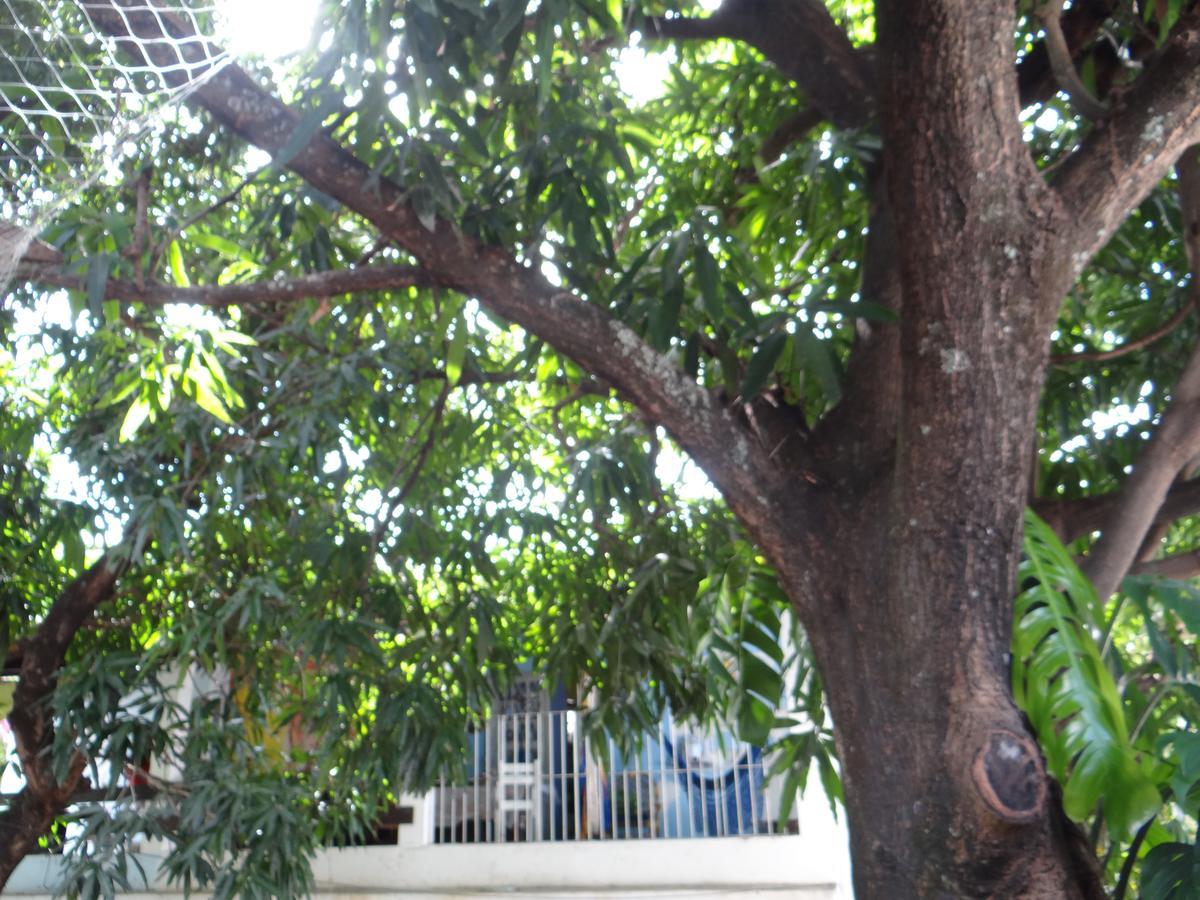 Casa De Temporada Das Mangueiras Olinda Exterior photo